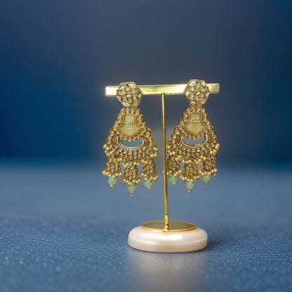 This beautiful earring is perfect for adding a touch of style to your look. It's crafted with care to ensure both durability and elegance. The sleek design and high-quality materials make it an ideal accessory for any occasion.